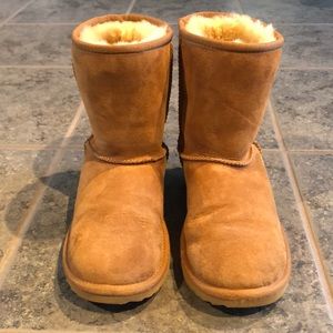 Ugg Boots classic chestnut
